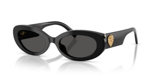 Dolce & Gabbana DG4537