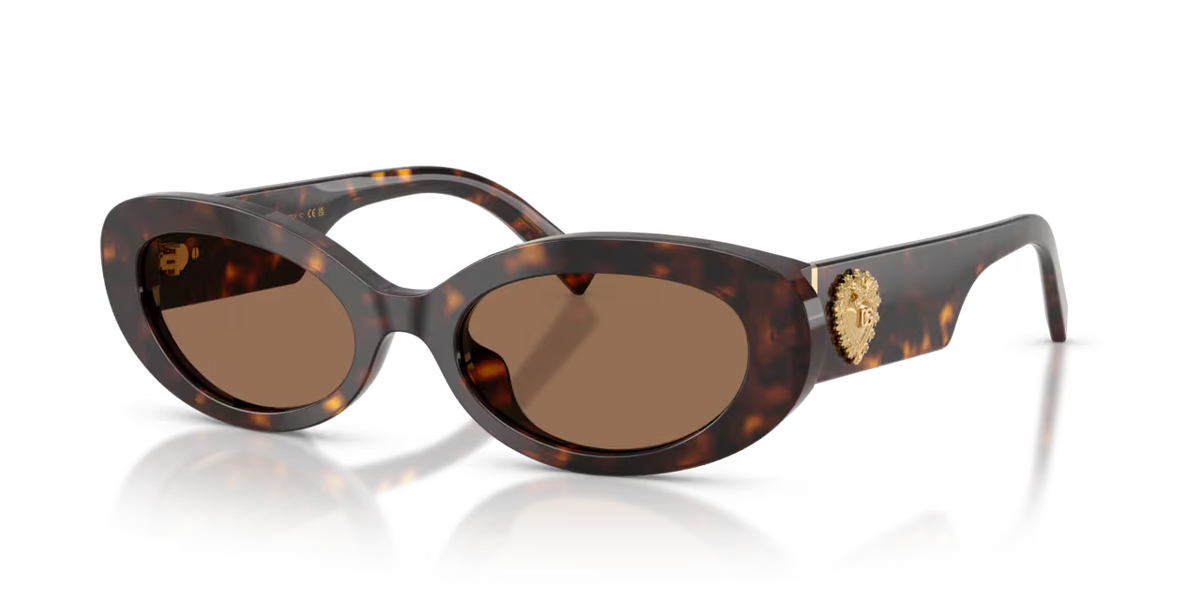 Dolce & Gabbana DG4537
