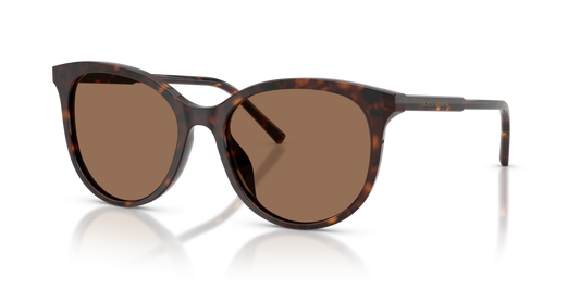 Dolce & Gabbana DG4540