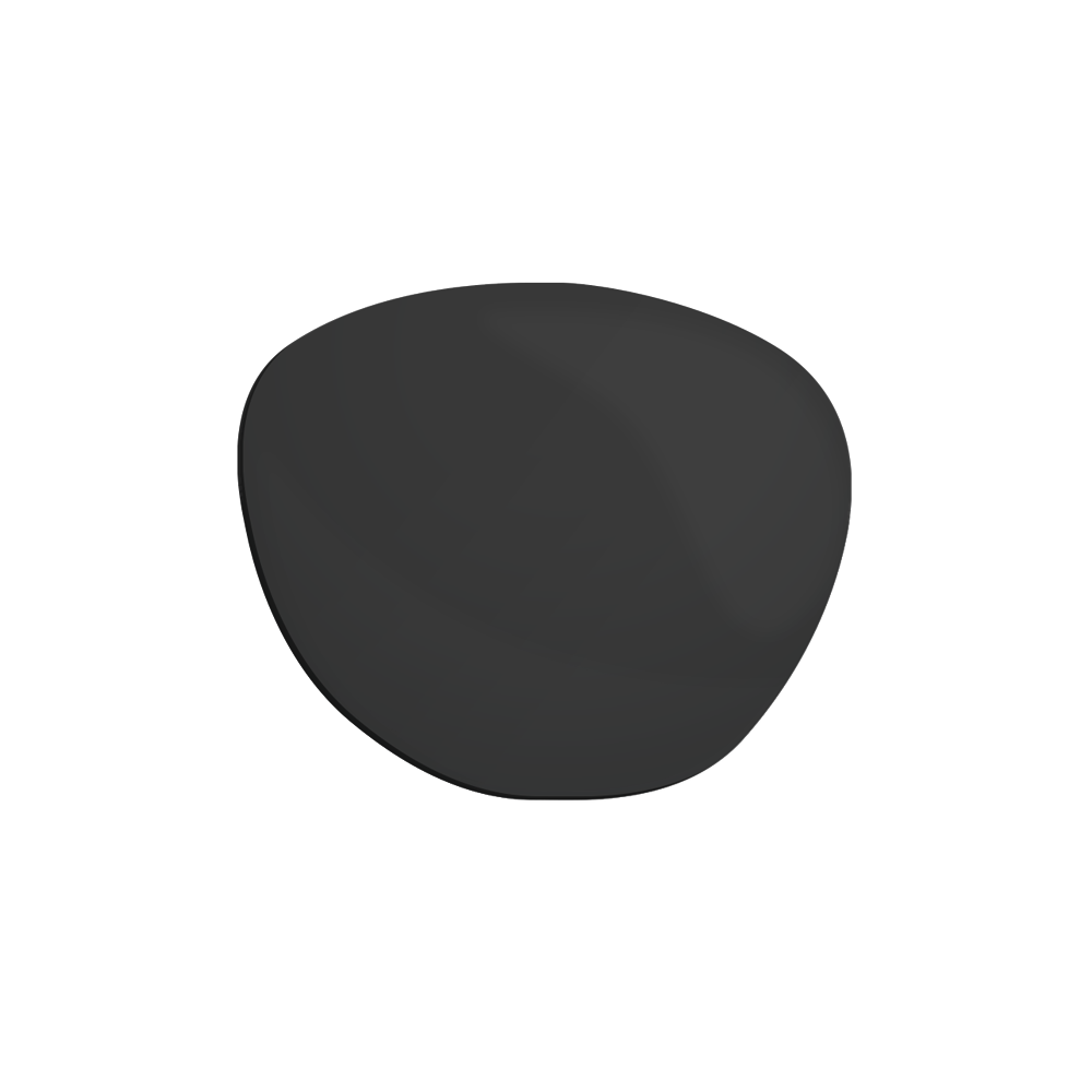 ZEISS Polarised (ZEISS ClearView)